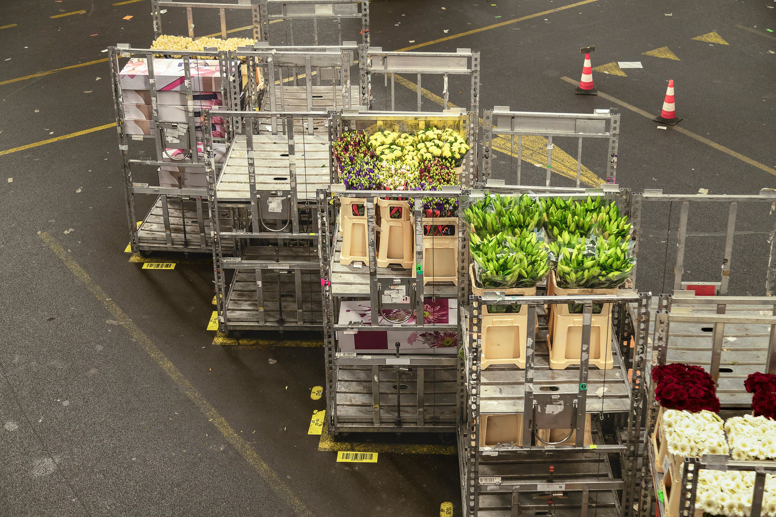 Transporting flowers chilled: tips for the flower industry