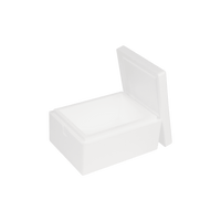 Polystyrene Box 10 L, 400 x 300 x 200 mm