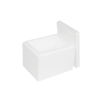 EPS box 17.5 L, 400 x 300 x 300 mm