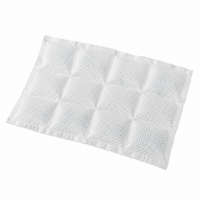 ice pack sheet 3 x 4 cells (200 x 280 mm) - 1000 pieces