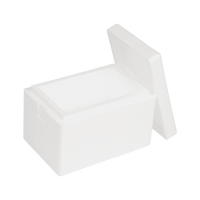 Polystyrene Box 4,7 L, 300 x 200 x 200 mm