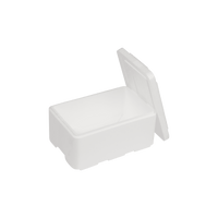 Polystyrene Box 5 L, 300 x 200 x 155 mm