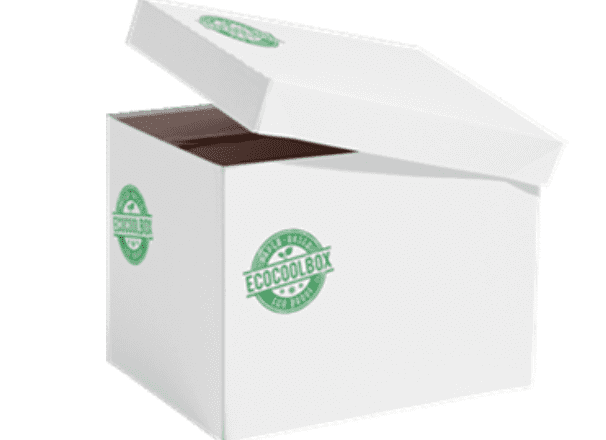 Eco Coolbox 400 x 300 x 300 mm white