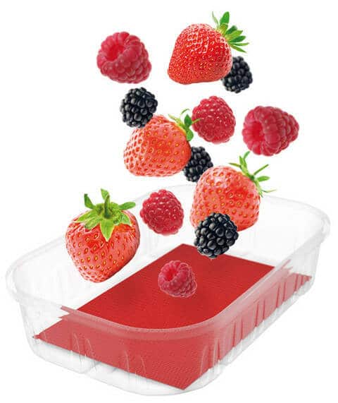 Fruit absorbent mat - various sizes (10 pieces)