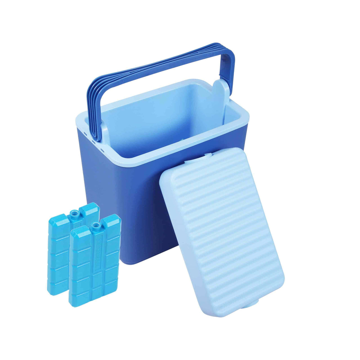 cool box 25L + 2 gel packs
